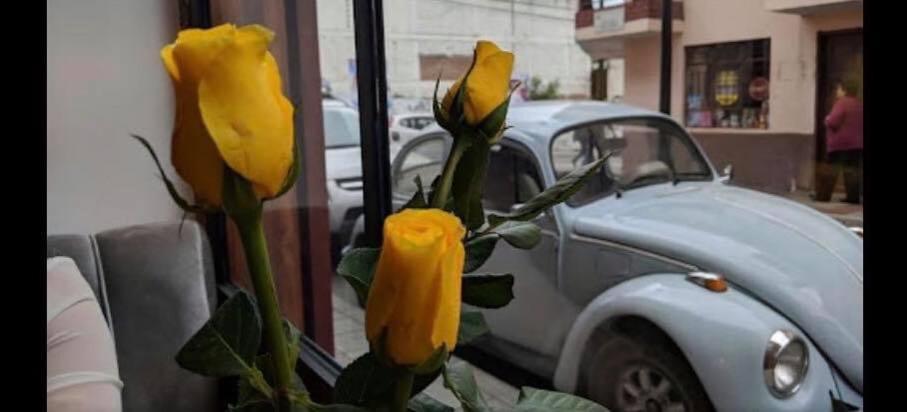 La Casa De Manuel Hotel-Boutique Loja Dış mekan fotoğraf